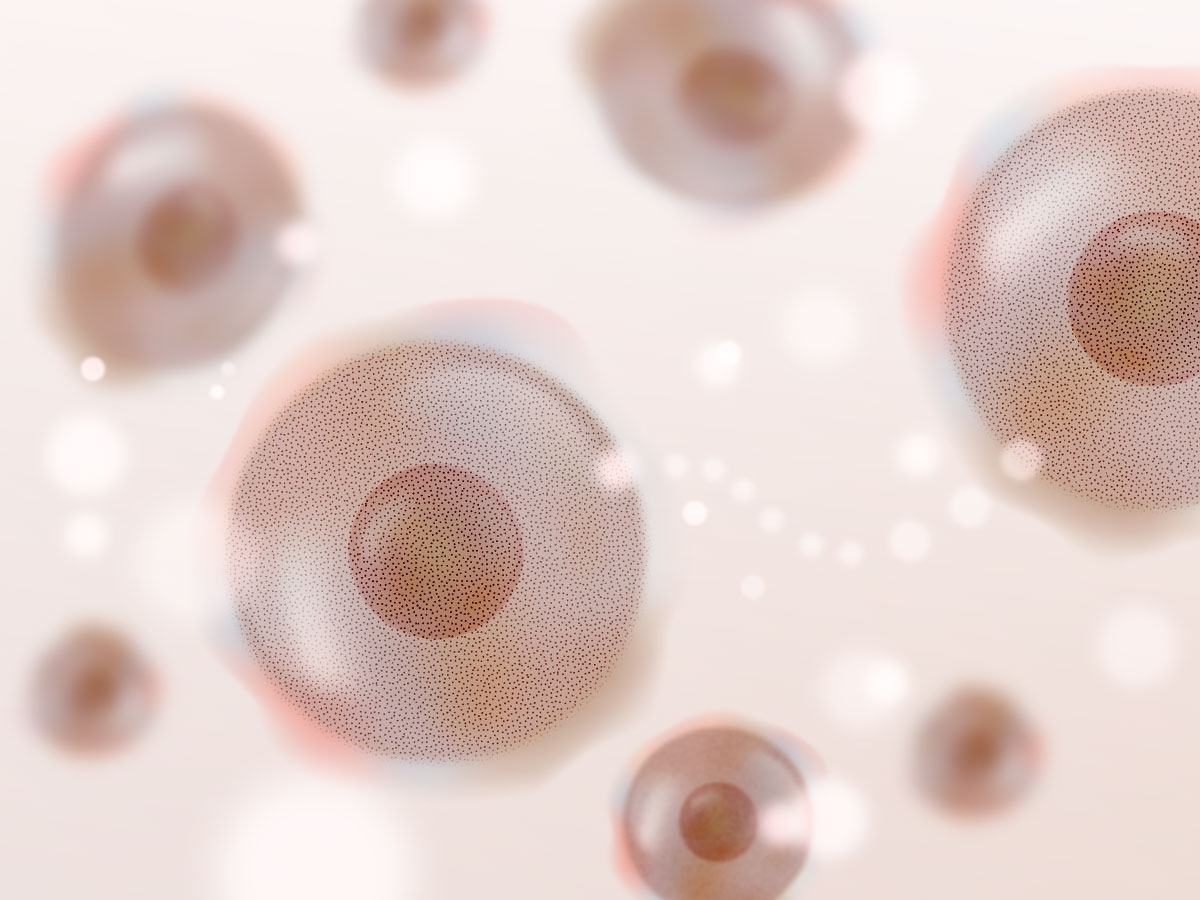 feat0<br />
<b>Warning</b>:  Undefined variable $i in <b>/home/xs171376/reunet.jp/public_html/trial15/wp/wp-content/themes/reutrial/parts/loop_features.php</b> on line <b>20</b><br />
<br />
<b>Warning</b>:  Undefined variable $count in <b>/home/xs171376/reunet.jp/public_html/trial15/wp/wp-content/themes/reutrial/parts/loop_features.php</b> on line <b>20</b><br />
2